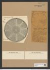 Aulacodiscus grunowii Cleve (de-Toni-Nr.: Genus 182, Species 4555) Zeichnungen Sammlung Grunow Nr. 8161 (NHMW-BOT-W0377527)
